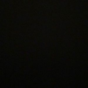 Meet your Posher, Lachlan